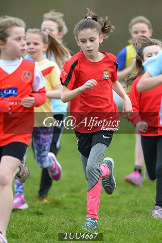 Dyfed Primary Schools Cross Country Year 5 Girls