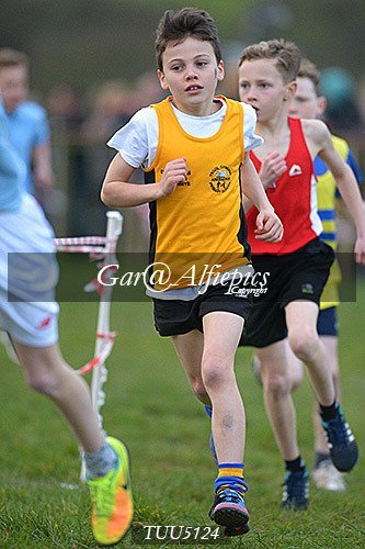 Dyfed Primary Schools Cross Country Year 5 Boys