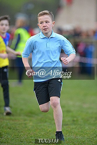 Dyfed Primary Schools Cross Country Year 5 Boys