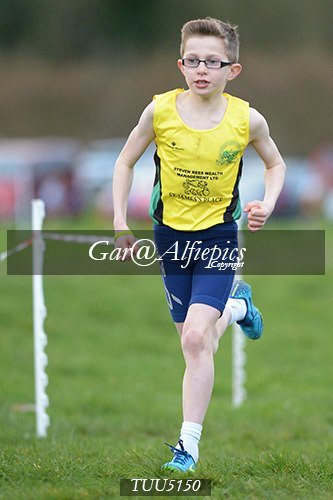 Dyfed Primary Schools Cross Country Year 5 Boys
