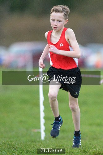 Dyfed Primary Schools Cross Country Year 5 Boys