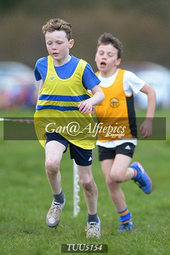 Dyfed Primary Schools Cross Country Year 5 Boys