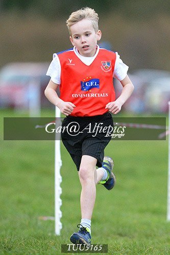 Dyfed Primary Schools Cross Country Year 5 Boys