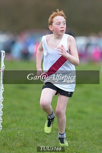 Dyfed Primary Schools Cross Country Year 5 Boys