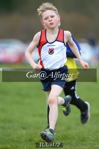 Dyfed Primary Schools Cross Country Year 5 Boys