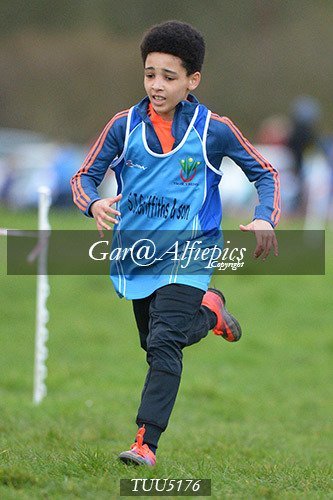 Dyfed Primary Schools Cross Country Year 5 Boys