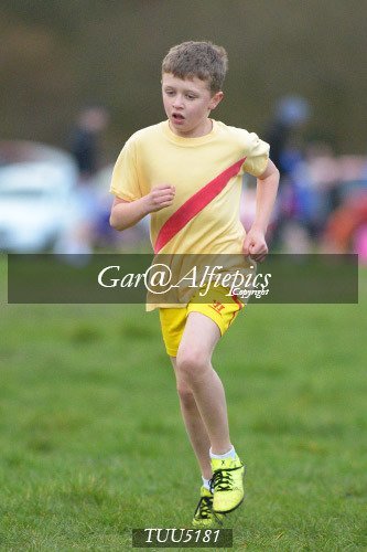 Dyfed Primary Schools Cross Country Year 5 Boys