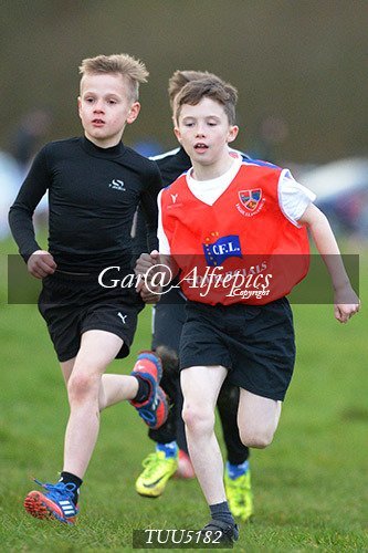 Dyfed Primary Schools Cross Country Year 5 Boys