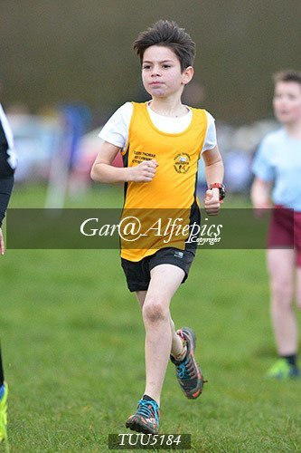 Dyfed Primary Schools Cross Country Year 5 Boys