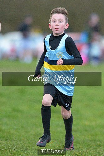 Dyfed Primary Schools Cross Country Year 5 Boys