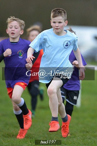 Dyfed Primary Schools Cross Country Year 5 Boys