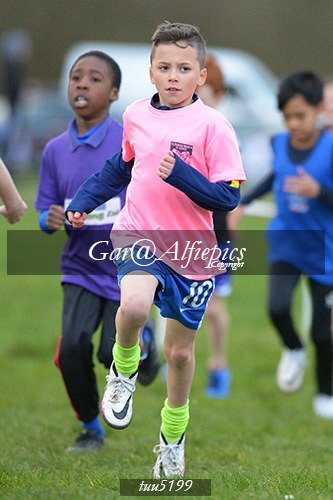 Dyfed Primary Schools Cross Country Year 5 Boys