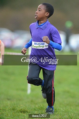 Dyfed Primary Schools Cross Country Year 5 Boys