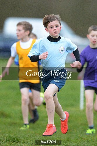 Dyfed Primary Schools Cross Country Year 5 Boys