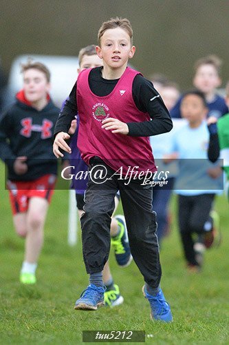 Dyfed Primary Schools Cross Country Year 5 Boys