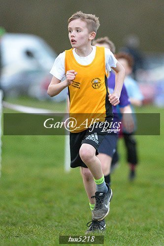 Dyfed Primary Schools Cross Country Year 5 Boys