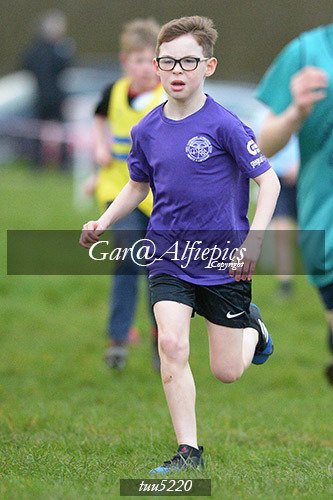 Dyfed Primary Schools Cross Country Year 5 Boys
