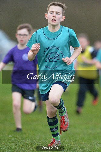 Dyfed Primary Schools Cross Country Year 5 Boys