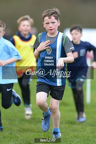 Dyfed Primary Schools Cross Country Year 5 Boys