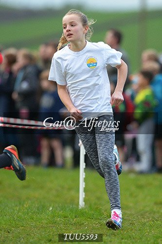 Dyfed Primary Schools Cross Country Year 6 Girls