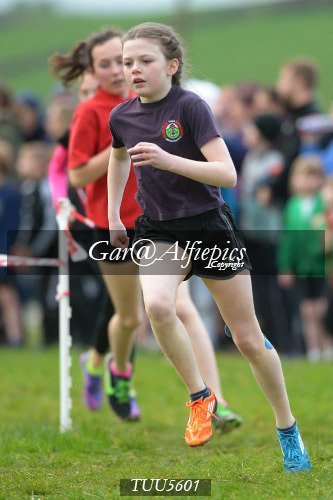 Dyfed Primary Schools Cross Country Year 6 Girls
