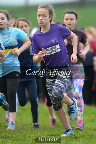 Dyfed Primary Schools Cross Country Year 6 Girls