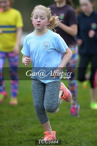 Dyfed Primary Schools Cross Country Year 6 Girls