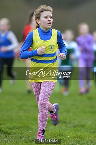 Dyfed Primary Schools Cross Country Year 6 Girls