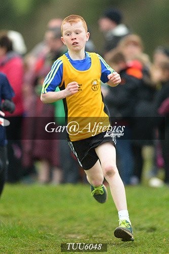 Dyfed Primary Schools Cross Country Year 6 Boys