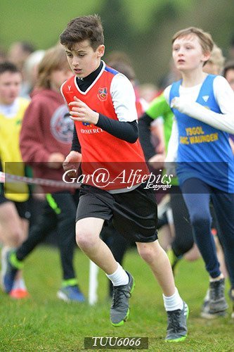 Dyfed Primary Schools Cross Country Year 6 Boys