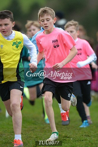 Dyfed Primary Schools Cross Country Year 6 Boys