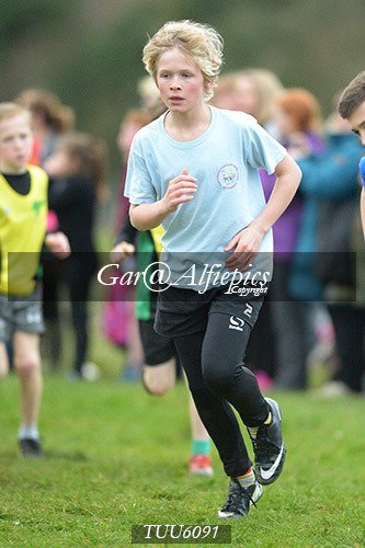 Dyfed Primary Schools Cross Country Year 6 Boys