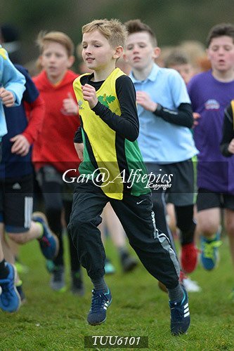 Dyfed Primary Schools Cross Country Year 6 Boys