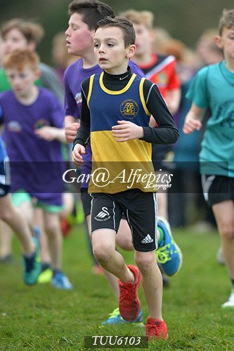 Dyfed Primary Schools Cross Country Year 6 Girls