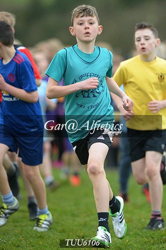 Dyfed Primary Schools Cross Country Year 6 Girls