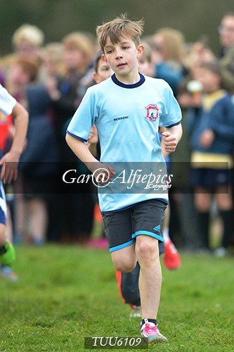 Dyfed Primary Schools Cross Country Year 6 Girls