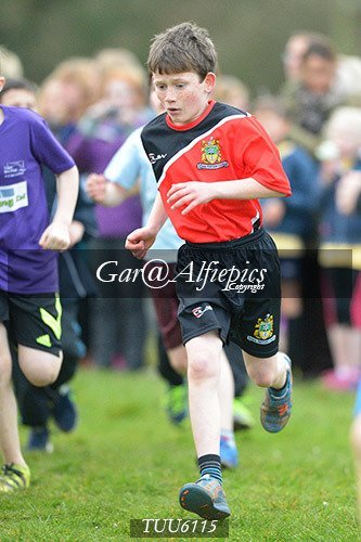 Dyfed Primary Schools Cross Country Year 6 Girls