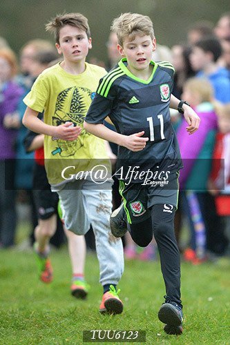 Dyfed Primary Schools Cross Country Year 6 Girls