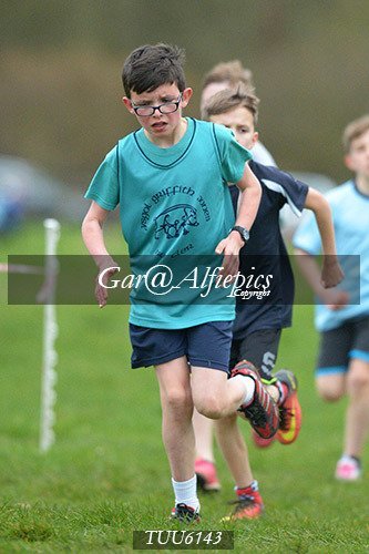 Dyfed Primary Schools Cross Country Year 6 Boys