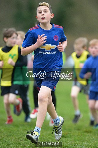 Dyfed Primary Schools Cross Country Year 6 Boys