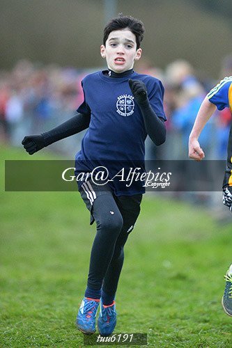 Dyfed Primary Schools Cross Country Year 6 Boys