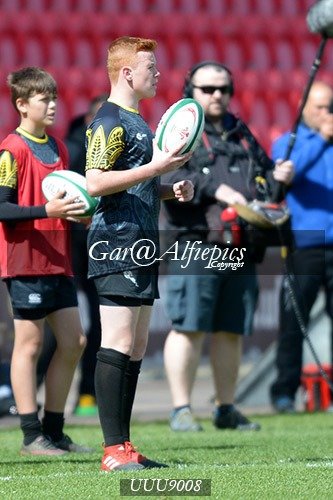 Ysgol Gyfun Gwyr v Ysgol Gyfun Glantaf