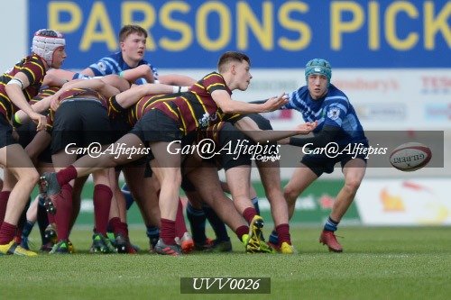 Ysgol Y Preseli v Ysgol Gyfun Ystalyfera
