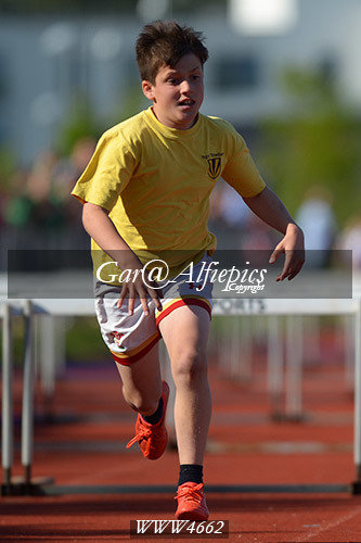 Carmarthenshire Primary School&#39;s Athletics Championships
