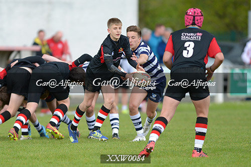 WSRU Intermadiate Sevens 2017