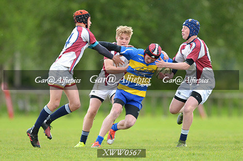 WSRU Intermadiate Sevens 2017