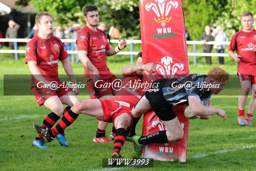 Amman Utd v Alltwen RFC