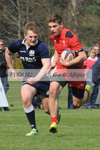 Wales Celts v Scotland
