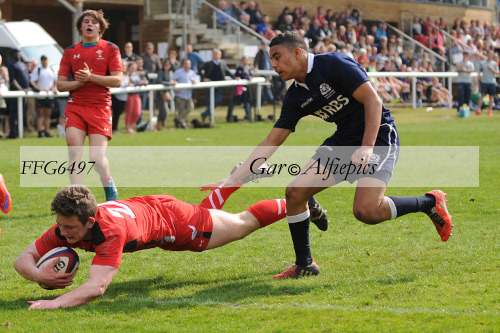 Wales Celts v Scotland