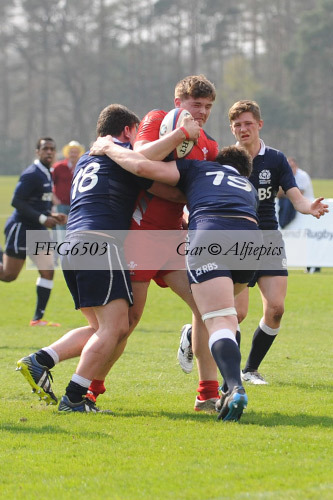 Wales Celts v Scotland